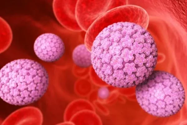 HPV Test & HPV Vaccination