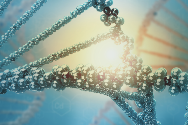 PGT-SR — Preimplantation Genetic Testing for Structural Rearrangements